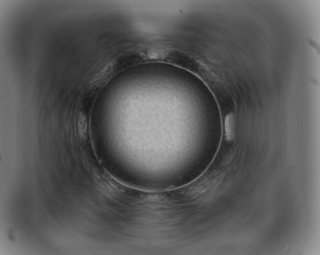 X0000097671443200803071544