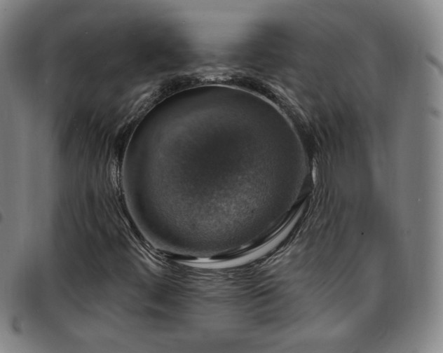 X0000097671444200803071544