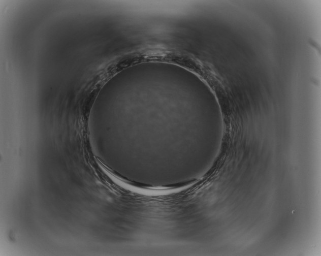 X0000097671445200803071544