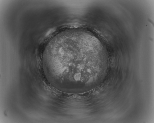 X0000097671446200803071544