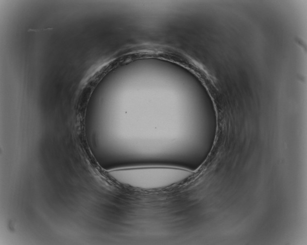 X0000097671448200803071544