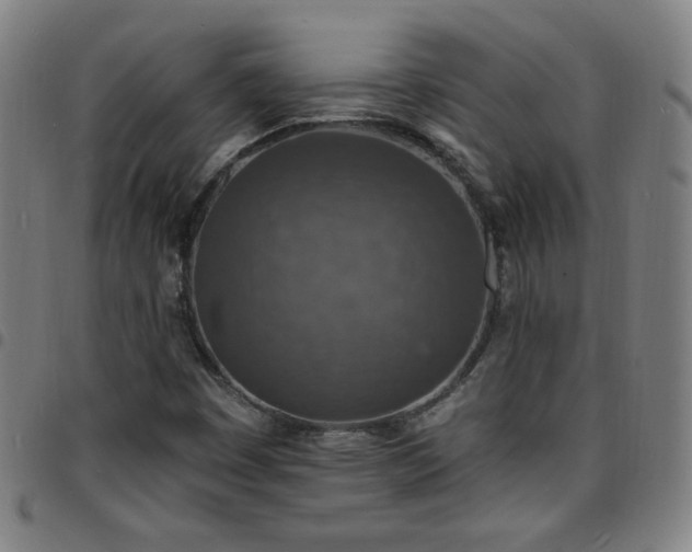 X0000097671449200803071544