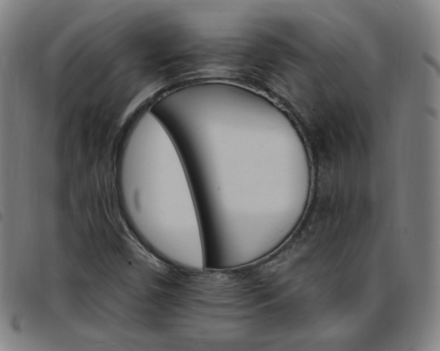 X0000097671450200803071544