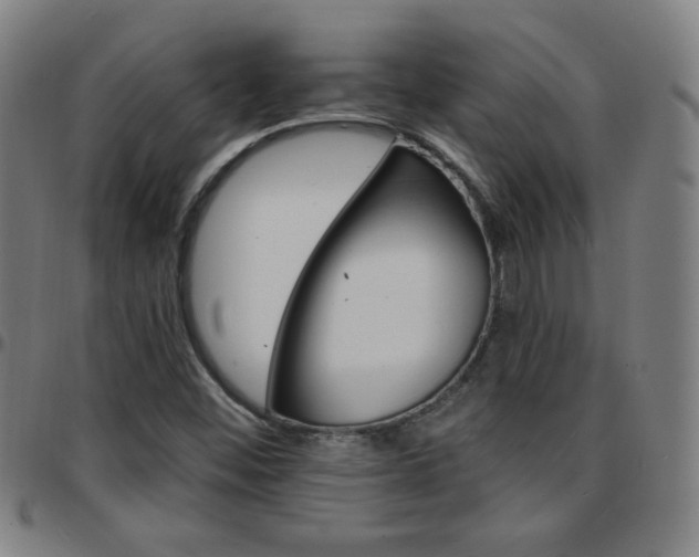 X0000097671452200803071544