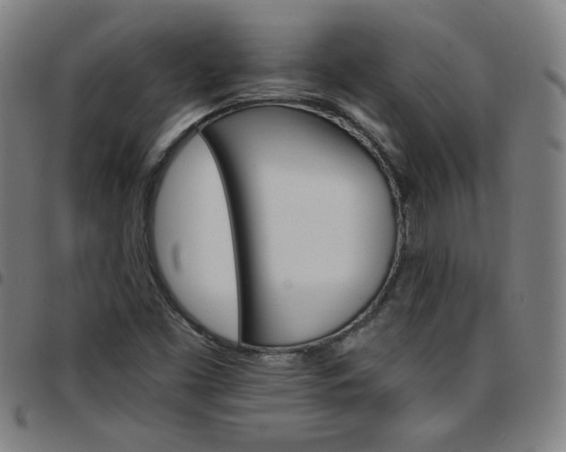 X0000097671453200803071544