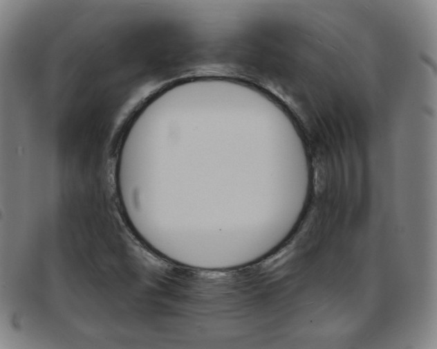 X0000097671454200803071544
