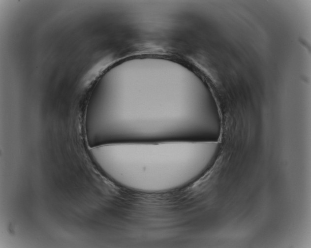X0000097671455200803071544