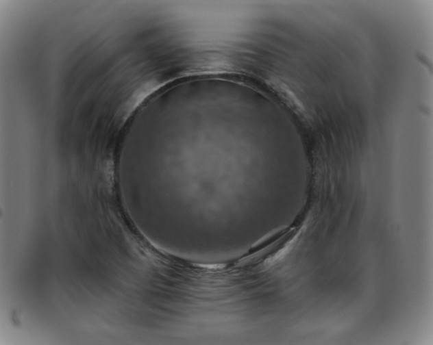 X0000097671457200803071544