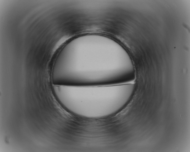 X0000097671458200803071544