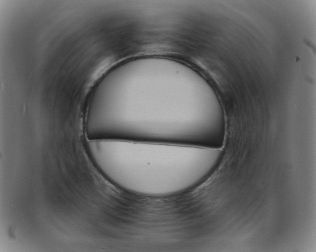 X0000097671459200803071544