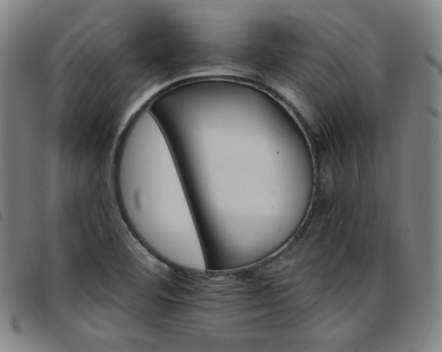 X0000097671460200803071544