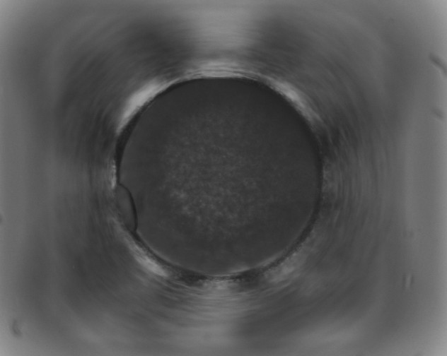 X0000097671461200803071544