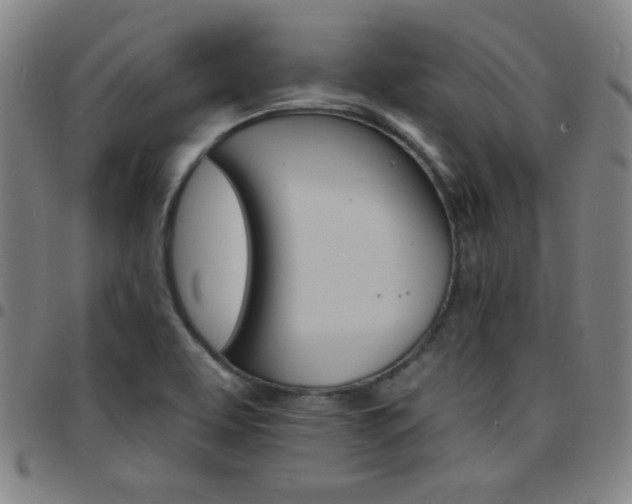 X0000097671463200803071544