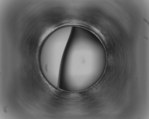X0000097671464200803071544