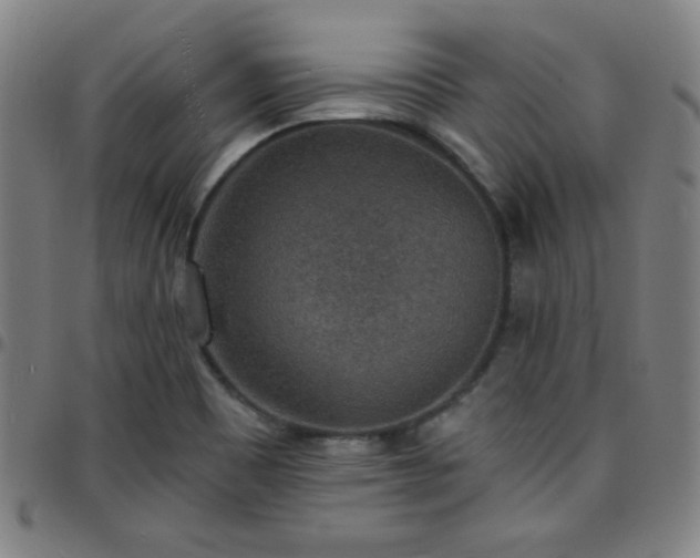 X0000097671465200803071544