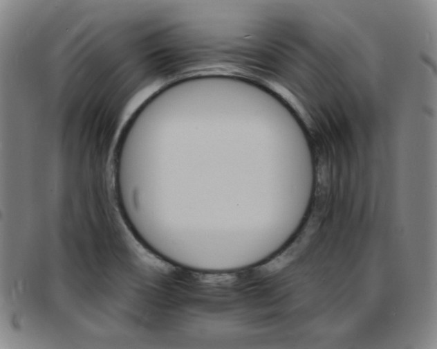 X0000097671466200803071544