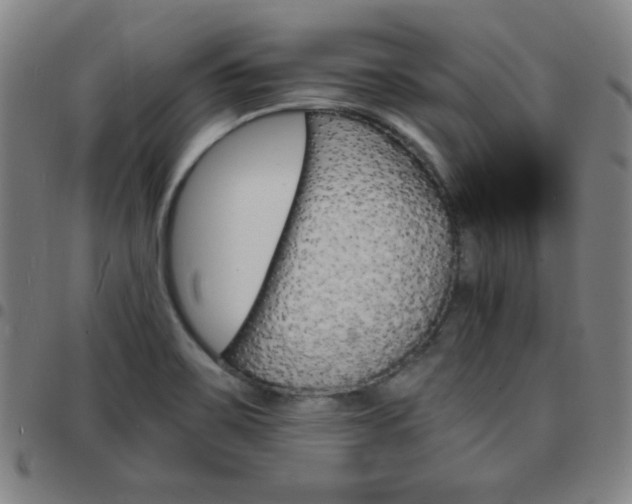 X0000097671467200803071544