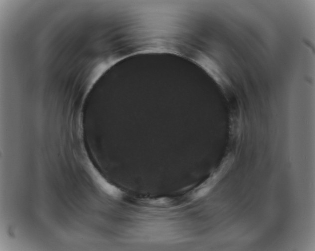 X0000097671468200803071544