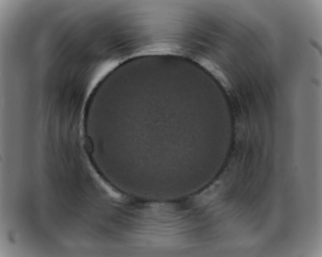 X0000097671469200803071544