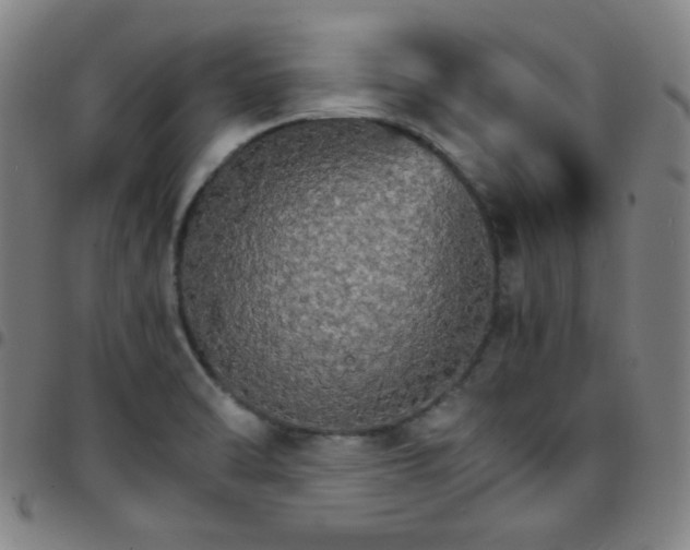 X0000097671470200803071544