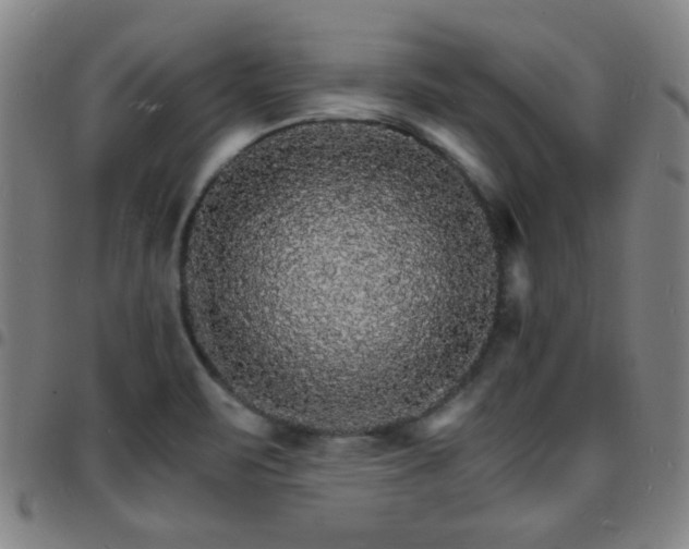 X0000097671471200803071544