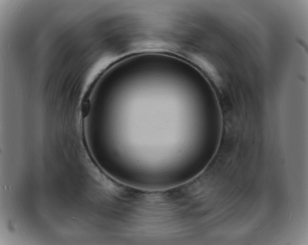 X0000097671472200803071544