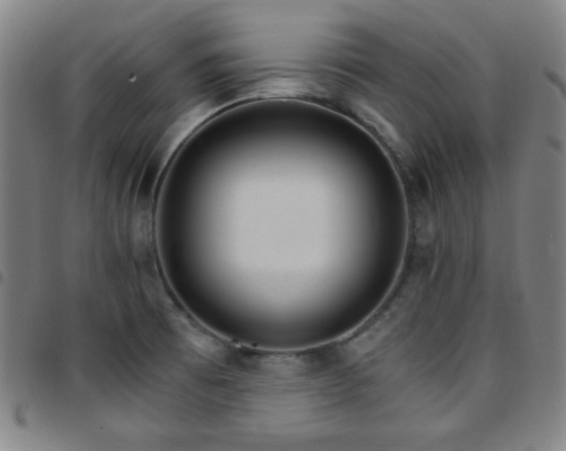 X0000097671473200803071544