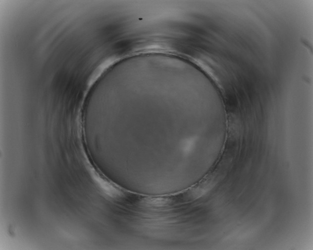 X0000097671474200803071544