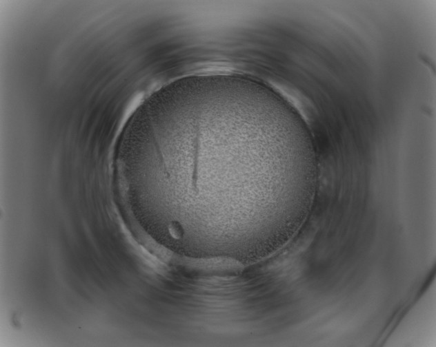 X0000097671475200803071544