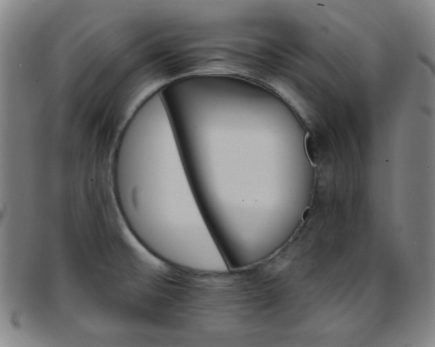 X0000097671476200803071544