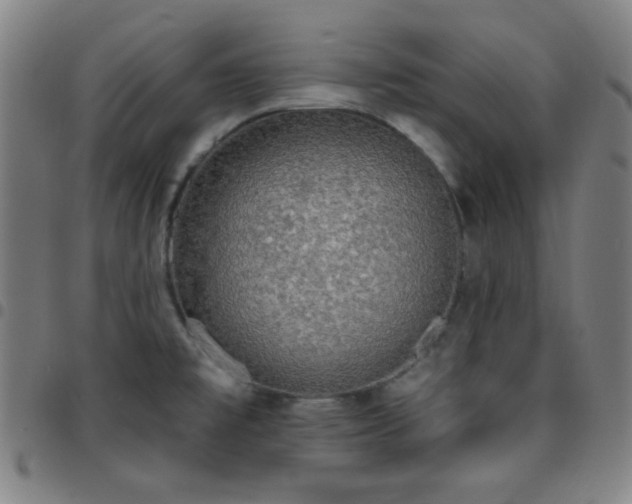 X0000097671477200803071544