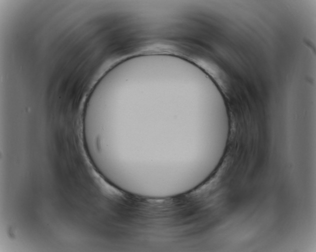X0000097671478200803071544