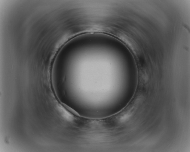 X0000097671480200803071544