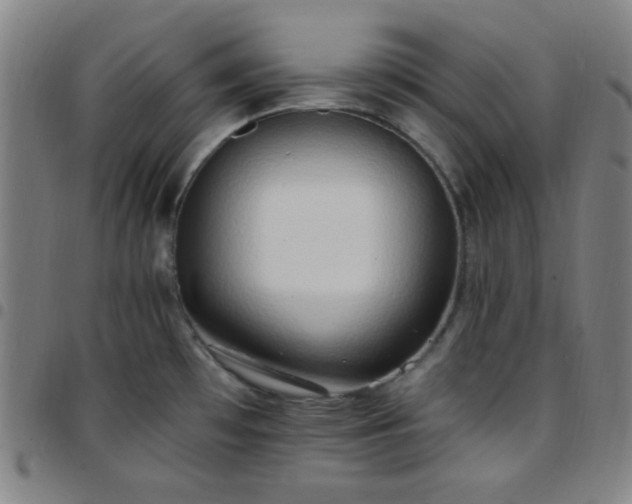 X0000097671481200803071544
