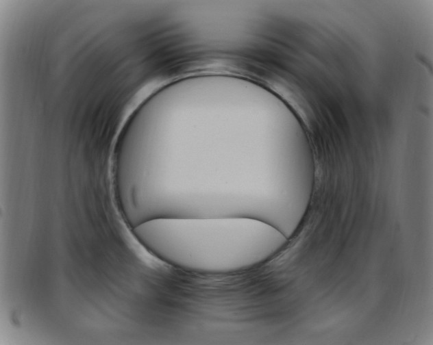 X0000097671482200803071544