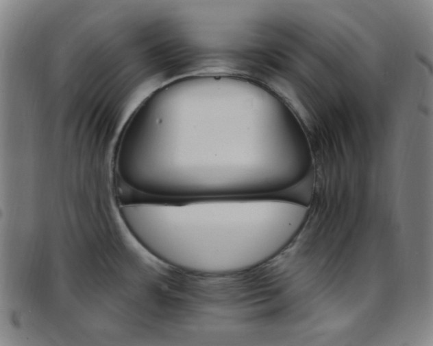 X0000097671483200803071544