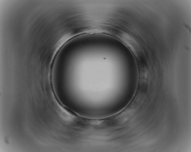 X0000097671484200803071544