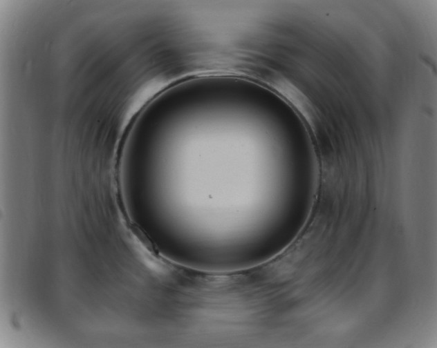 X0000097671485200803071544