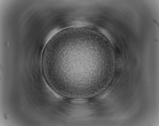 X0000097671487200803071544