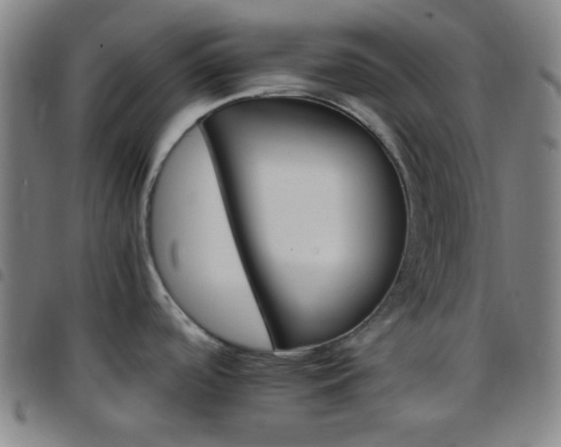 X0000097671488200803071544