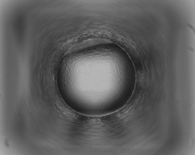 X0000097671489200803071543