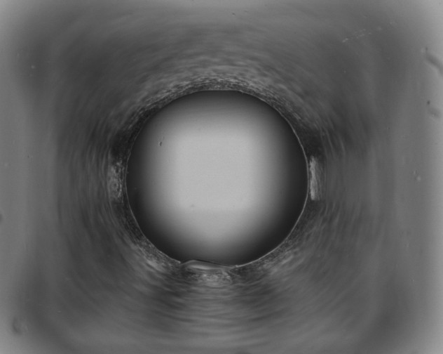 X0000097671491200803071543