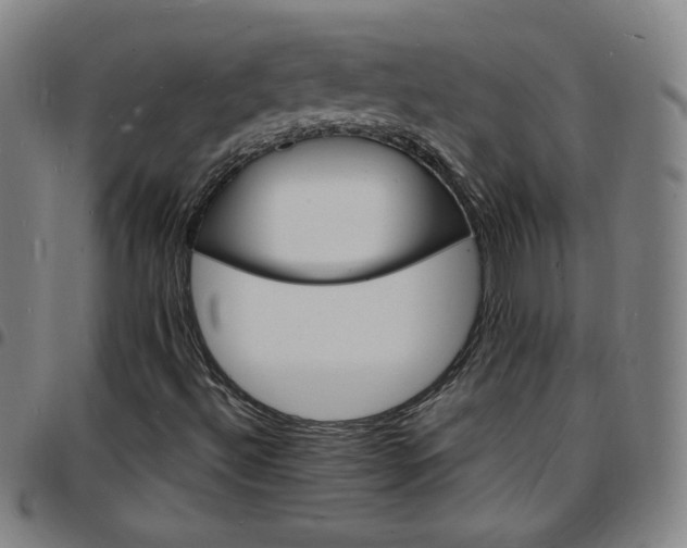 X0000097671492200803071543