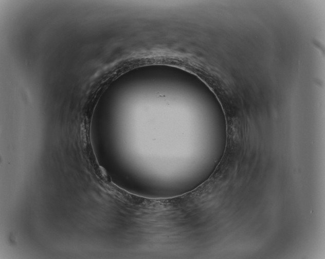 X0000097671493200803071543