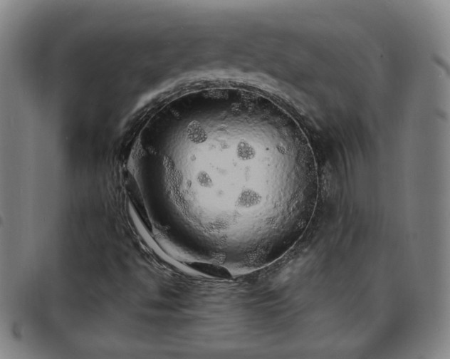 X0000097671494200803071543