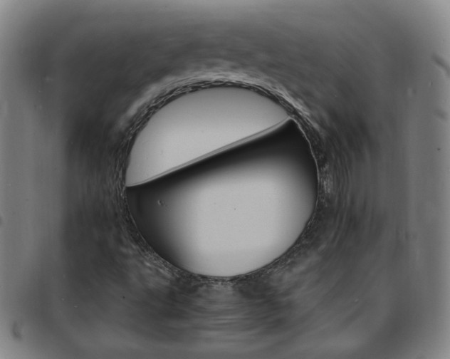 X0000097671495200803071543