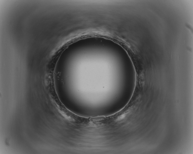 X0000097671496200803071543
