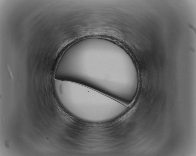 X0000097671497200803071543