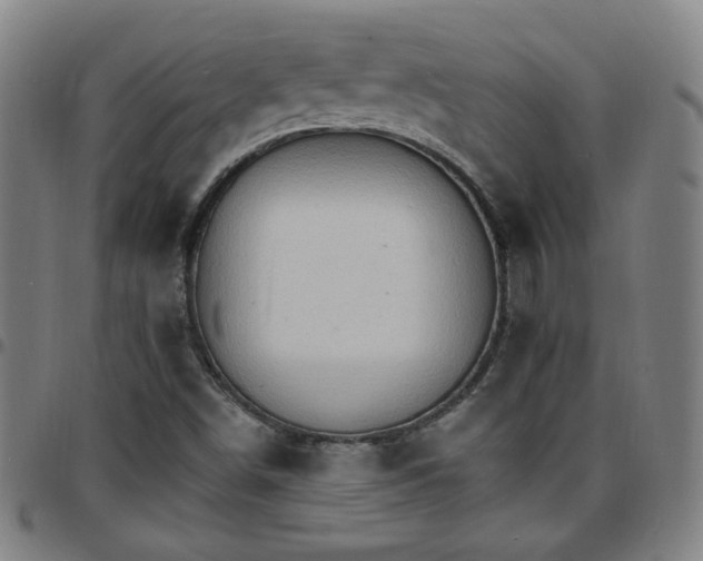X0000097671498200803071543