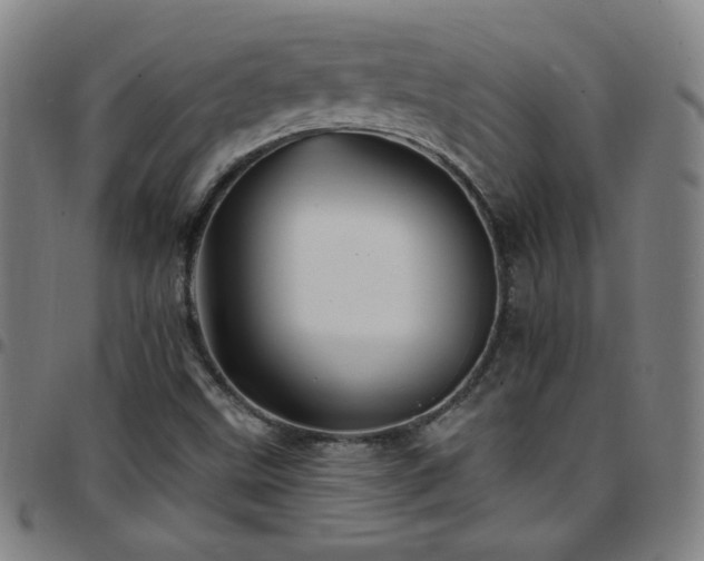X0000097671499200803071543